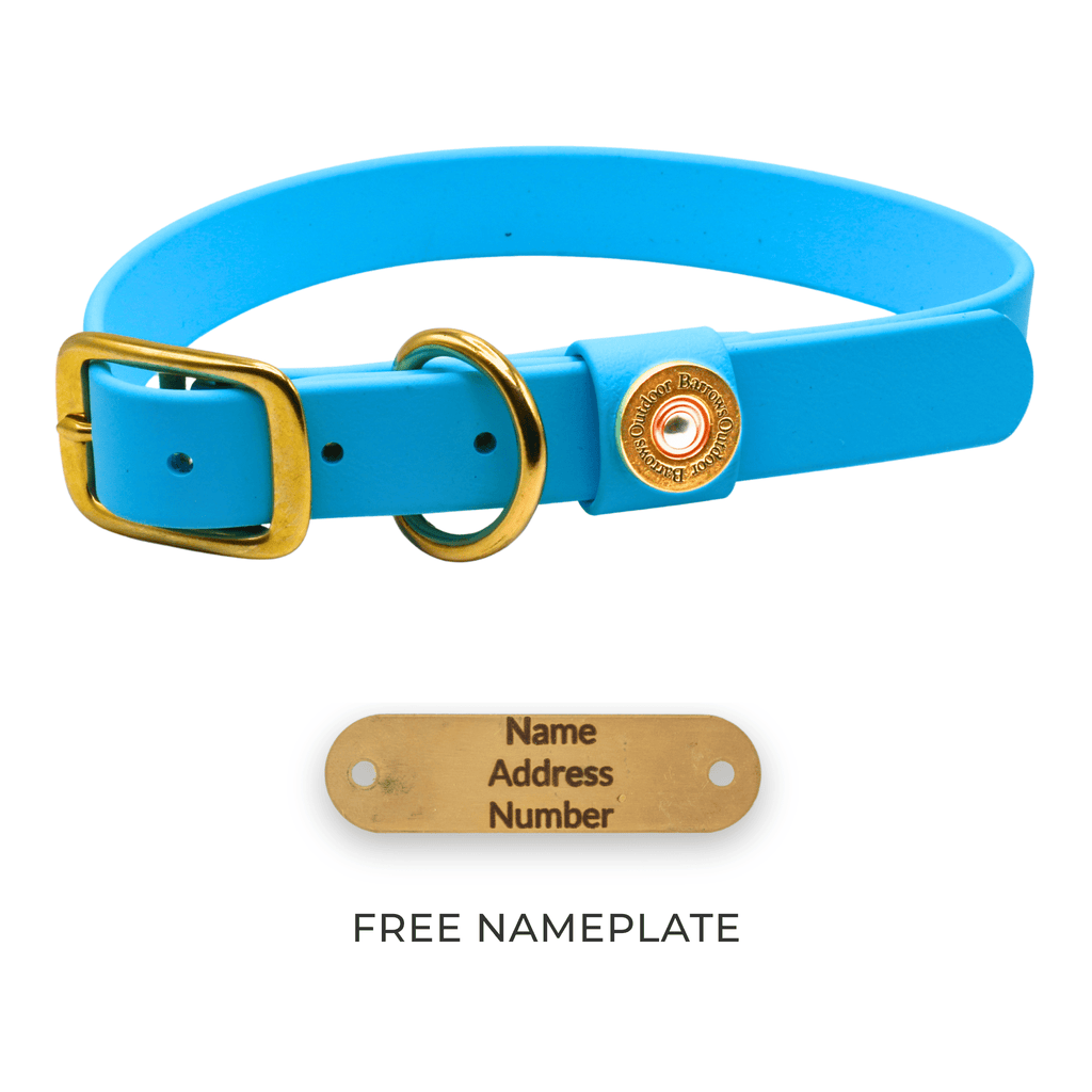 Adjustable Waterproof Dog Collar - Teal Pet Accessories