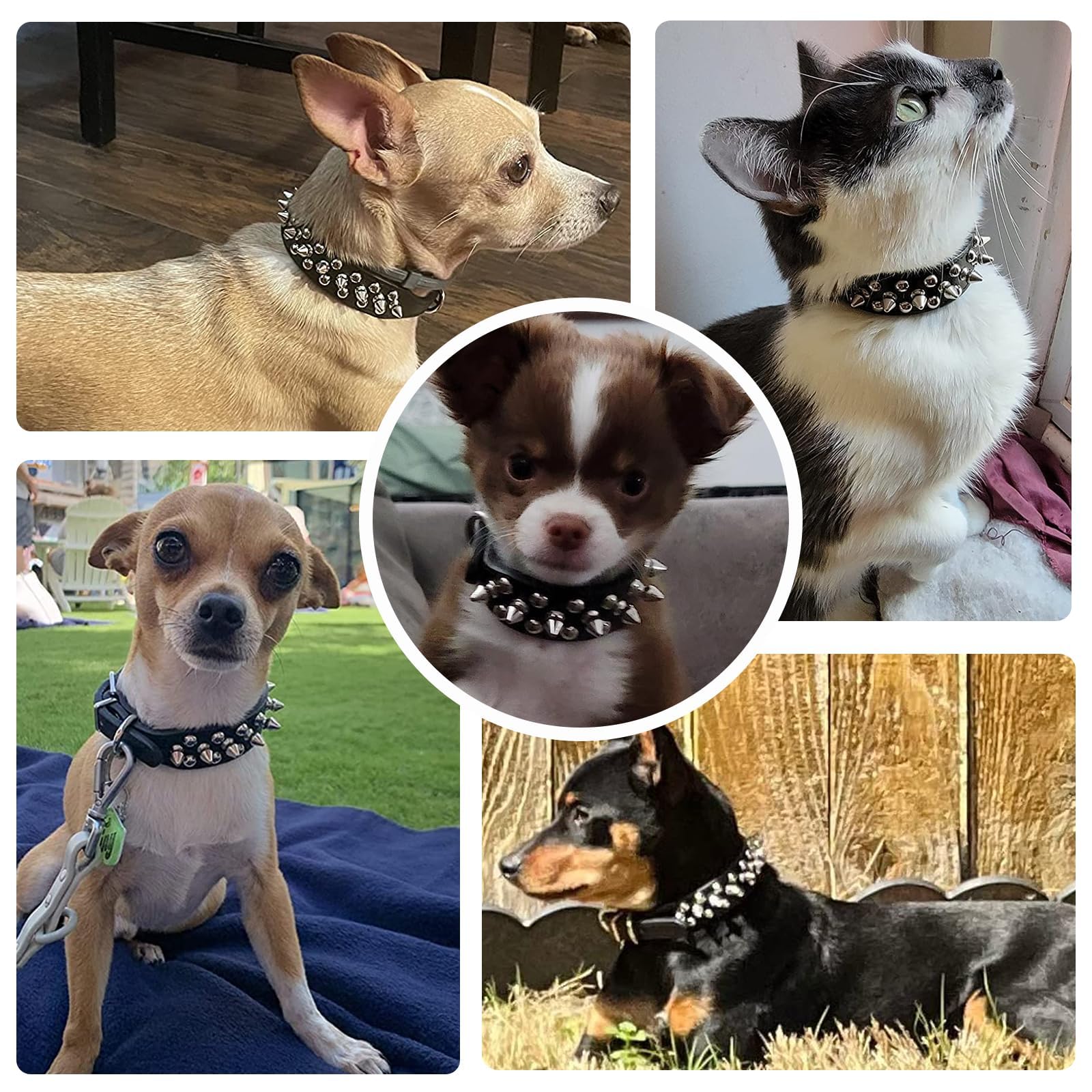 Small Spiked Black Dog Cat Collar For Small Medium Dogs Boy Male - Adjustable Studded Puppy Collars - Soft Padded Punk Leather Dog Collar For Chihuahua French Bulldog Pug - Majestic Pet Kingdom