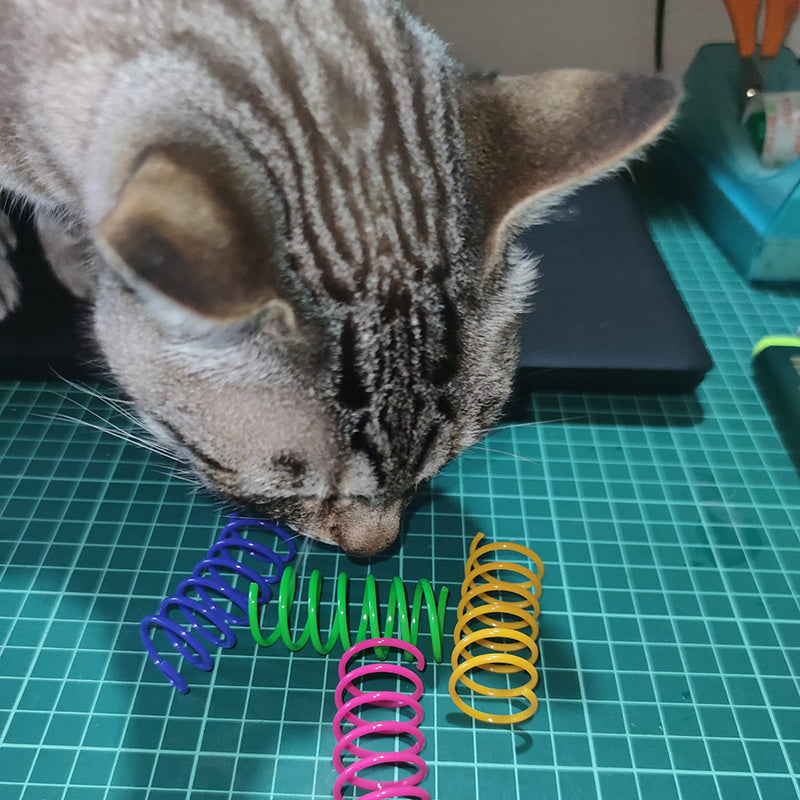 Cat Toys Colorful Spiral Springs Heavy-Gauge Bouncing 10-Pack - Detail Angle 7 | Majestic Pet Kingdom