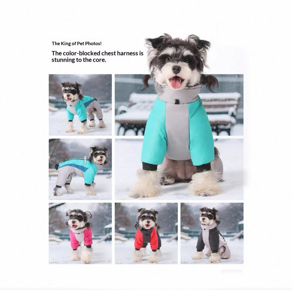 Pet Product - Premium Pet Accessory