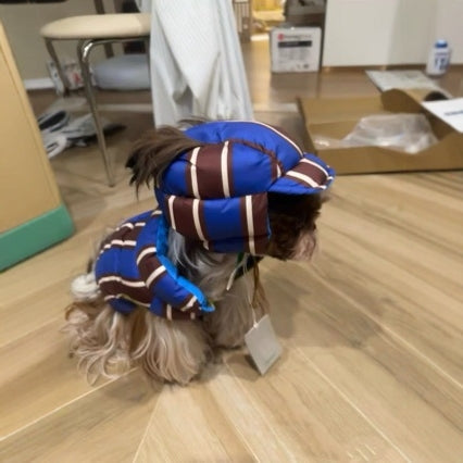 Dog Hoodie Pure Cotton Padded Warm Winter Jacket Puppy Coat - Detail Angle 4 | Majestic Pet Kingdom