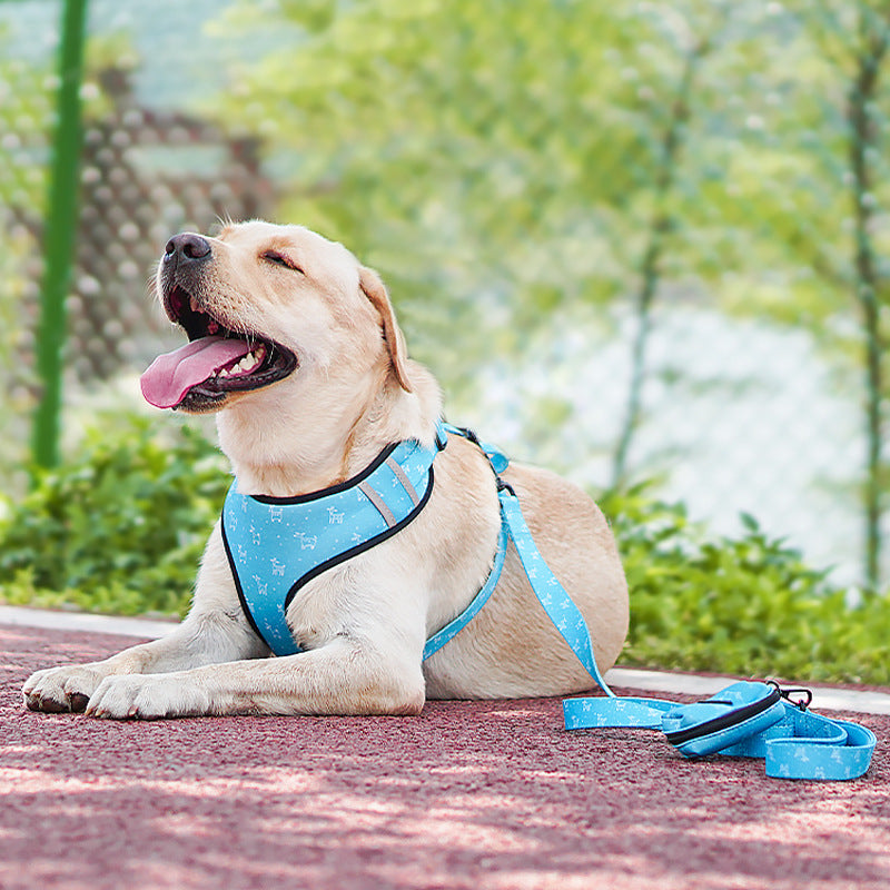 Pet Dog Leash Harness With Bow - Premium Everyday Essential