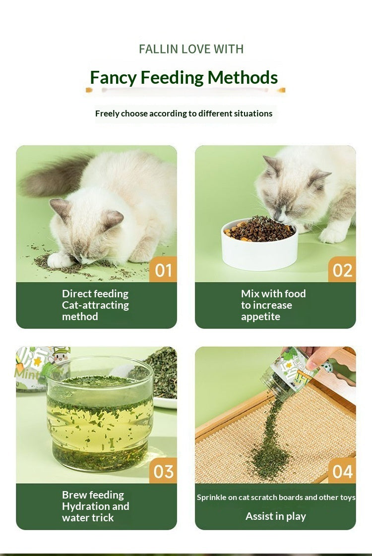 Catnip Cat Grass Leaves Cat Treats Cat Teaser Toy