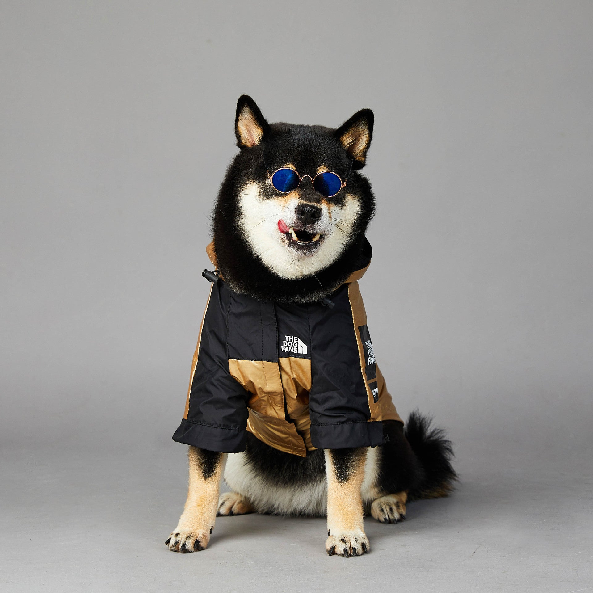 Dog Large Dog Raincoat Pet Jacket - Majestic Pet Kingdom