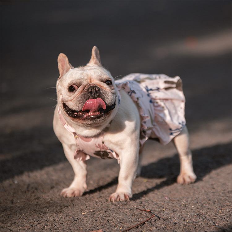 Teddy Schnauzer Pugs Small And Medium-sized Dogs Cats And Dogs Skirt - Majestic Pet Kingdom