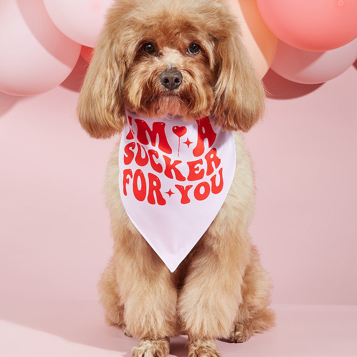 Printed Pet Dog Bandana Scarf & Saliva Towel