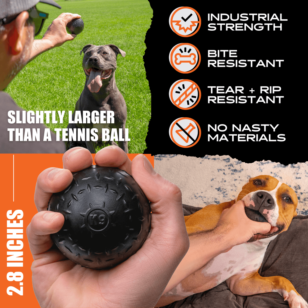 Luxury Pet Essentials - Purrfect Pet Kingdom™