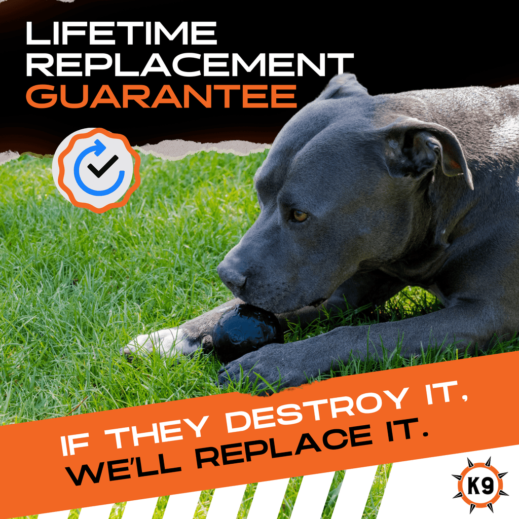 Luxury Pet Essentials - Purrfect Pet Kingdom™