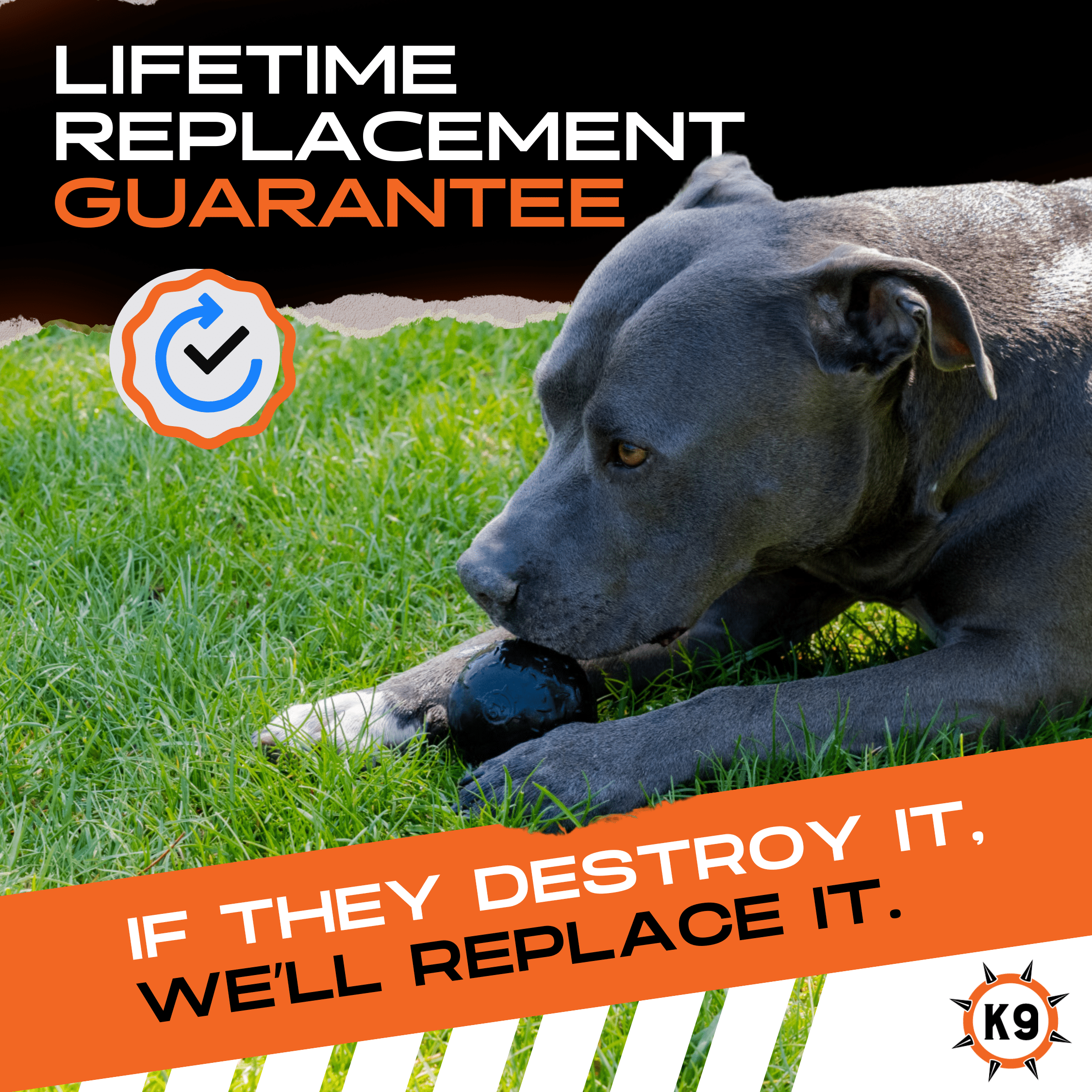 Luxury Pet Essentials - Purrfect Pet Kingdom™