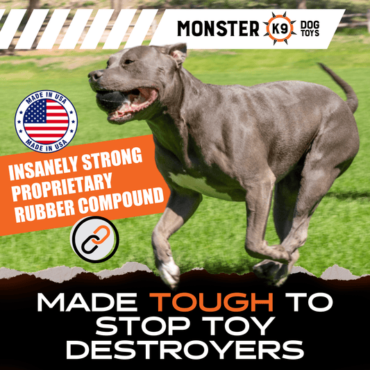 Beast Ball | Purrfect Pet Kingdom