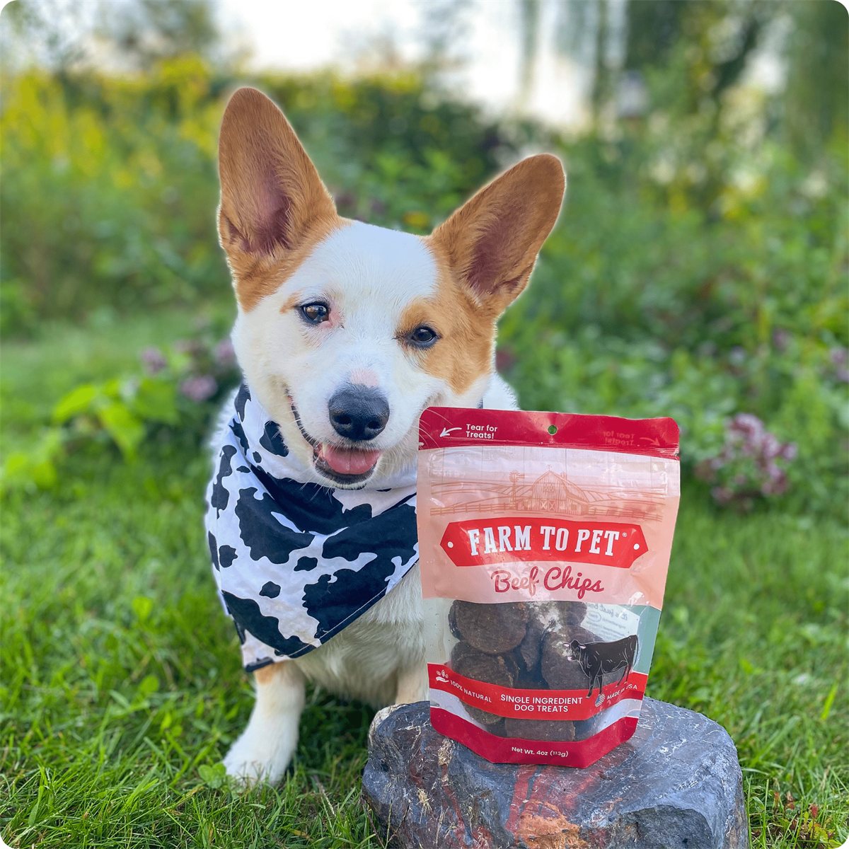 Dog Treats Beef Chips Single-Ingredient Healthy Chews 4oz Bag - Detail Angle 5 | Majestic Pet Kingdom
