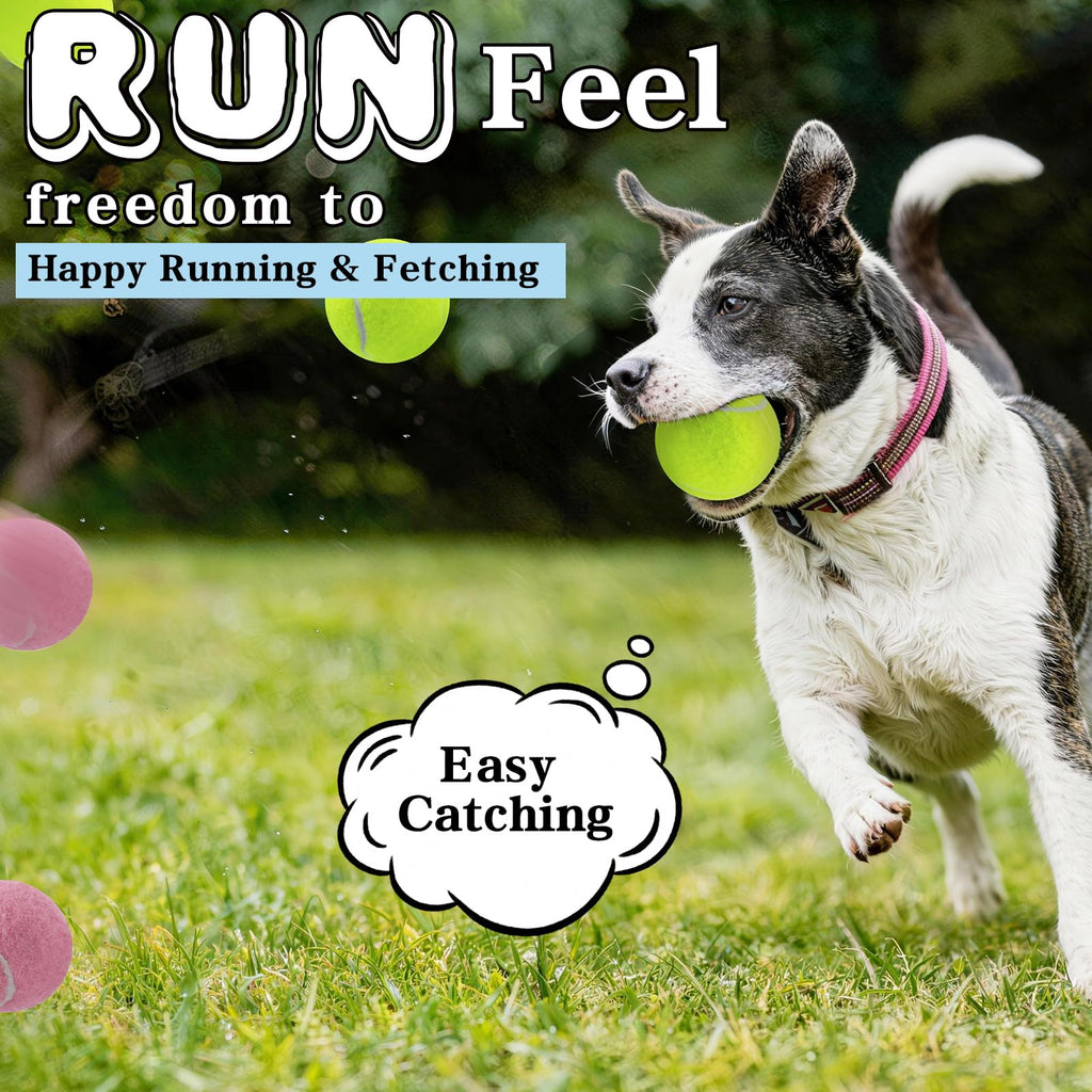 Dog Balls, Tennis Balls For Dogs,Colorful Easy Catching Pet Playing Ball