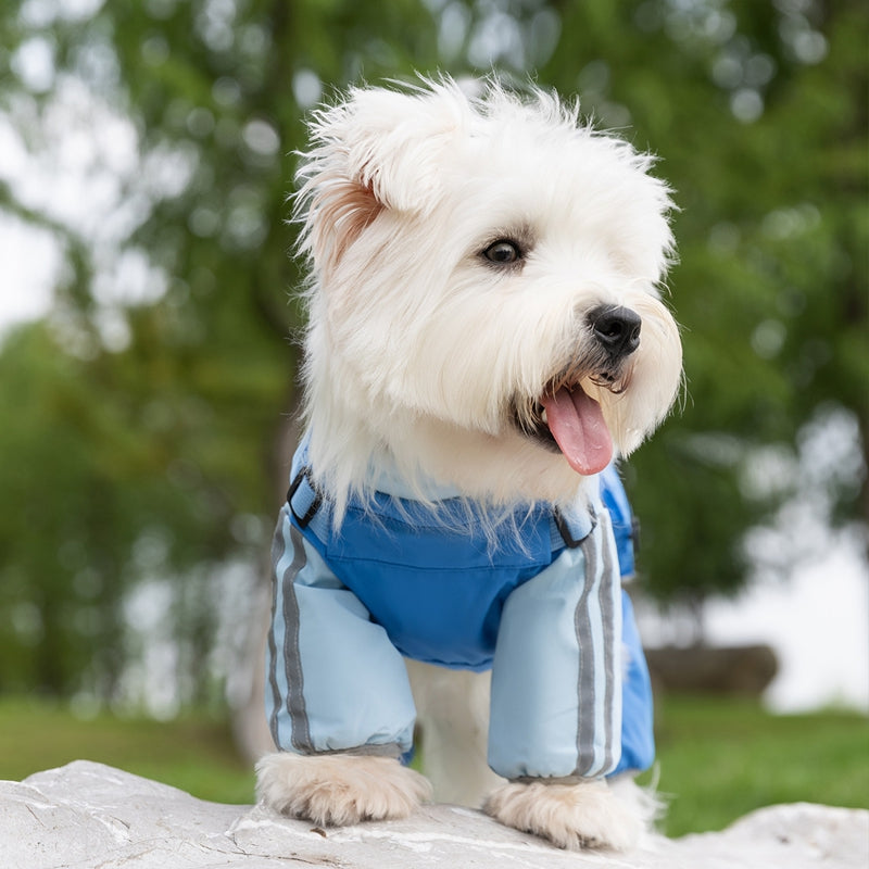 Autumn And Winter Dog, Small And Medium-sized Dog Teddy Outdoor Windproof, Waterproof, Three-proof Raincoat, Four-legged Cotton Coat, Pet Clothing | Purrfect Pet Kingdom