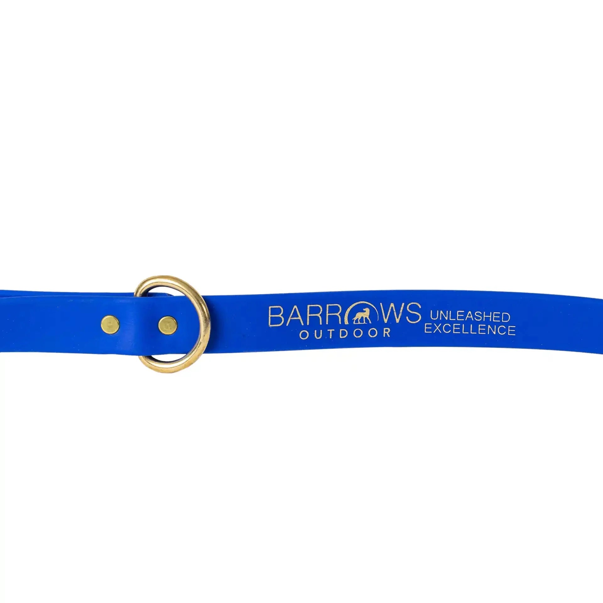 Heavy-Duty Waterproof Dog Leash - Blue Pet Lead
