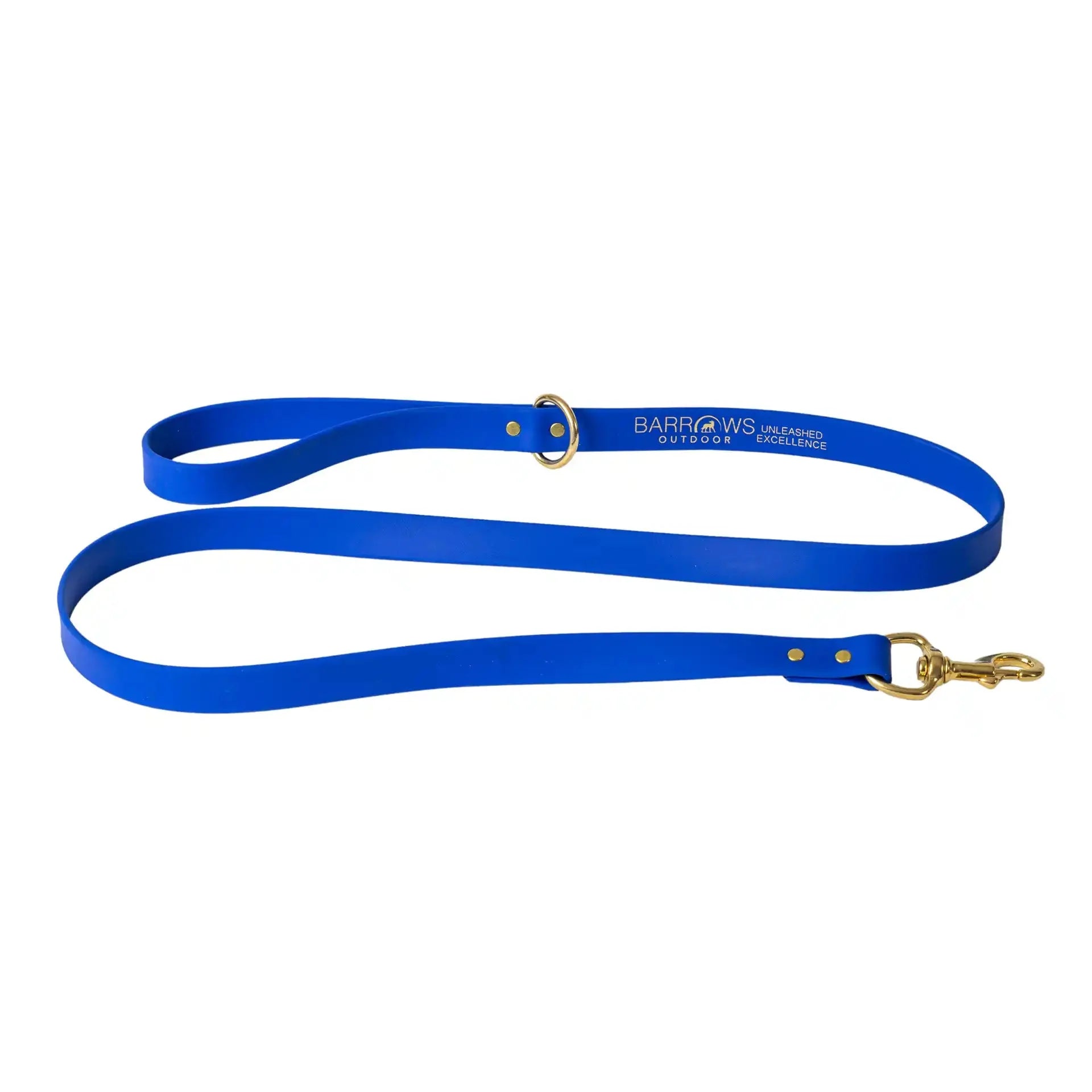 Heavy-Duty Waterproof Dog Leash - Blue Pet Lead