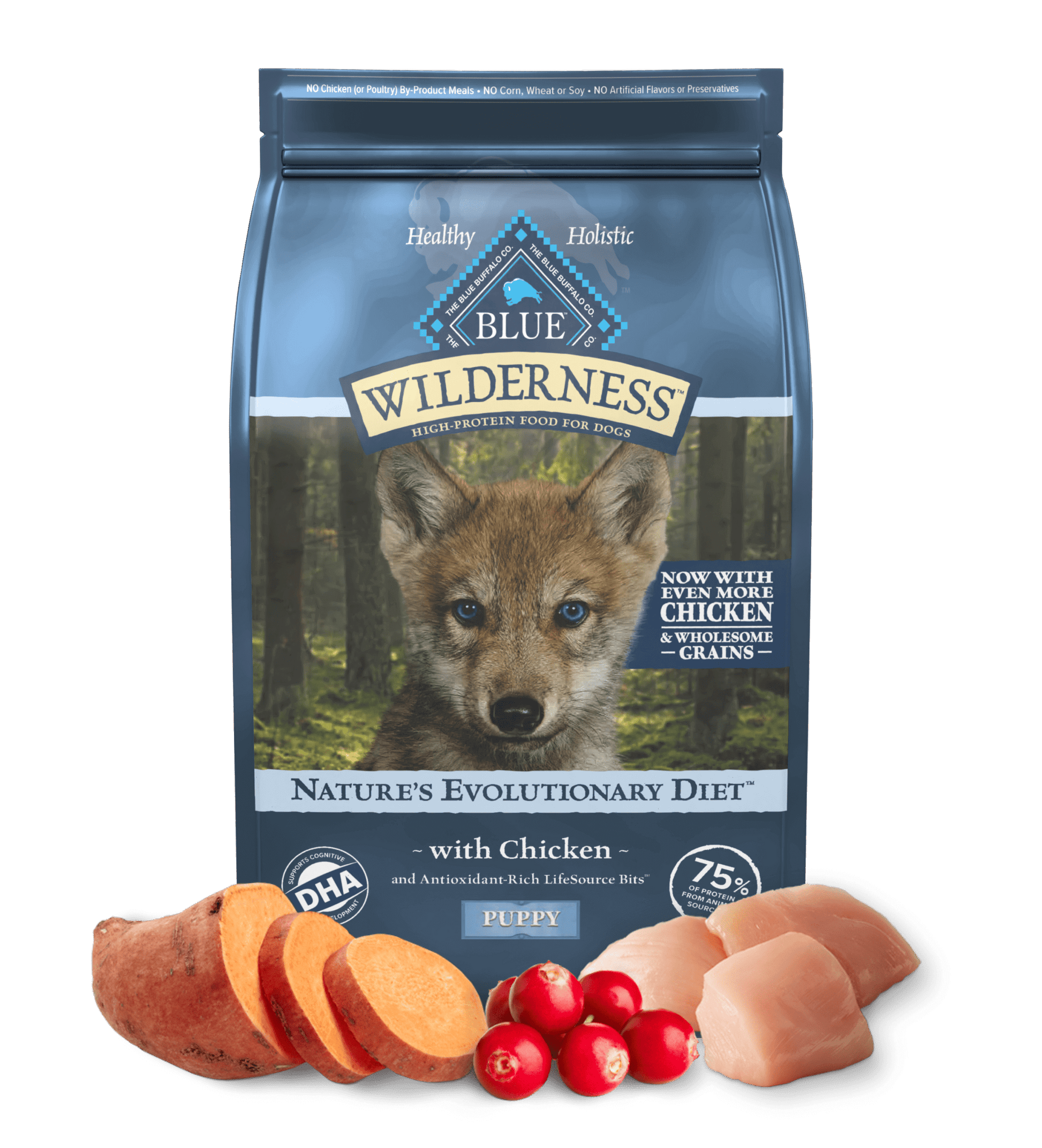 Dog Food Blue Buffalo Wilderness Puppy Chicken Grains Formula - Main Feature View | Majestic Pet Kingdom
