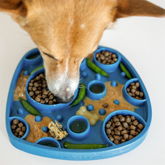 Dog Lick Mat Bubbles Feast Silicone Slow Feeder Treat Plate