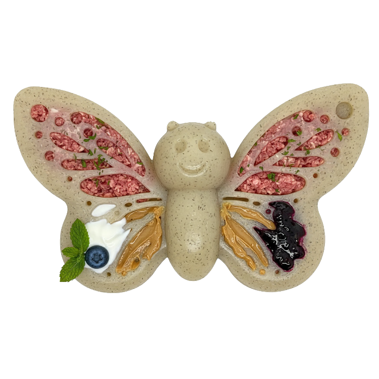 Butterfly Nylon Chew & Enrichment Toy | 2-in-1 for - Premium