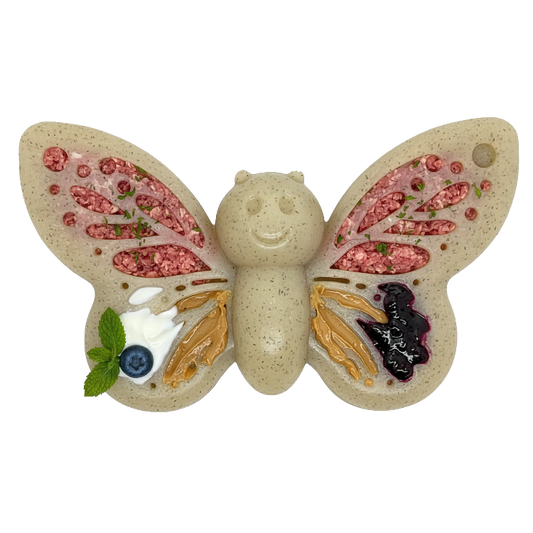 Butterfly Nylon Chew & Enrichment Toy | 2-in-1 for - Premium