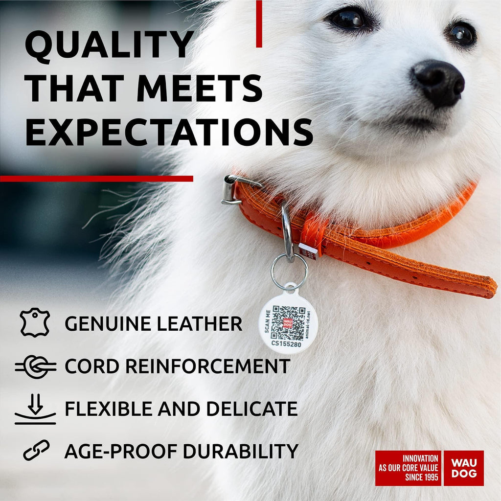 Rolled Leather Dog Collar XSmall Dogs 10–13 in Neck Orange