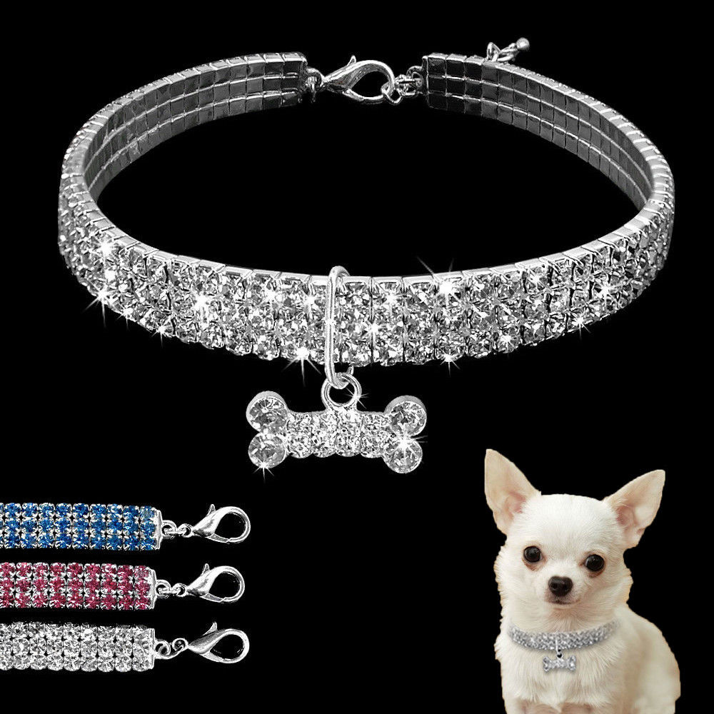 Luxury Pet Essentials - Purrfect Pet Kingdom™