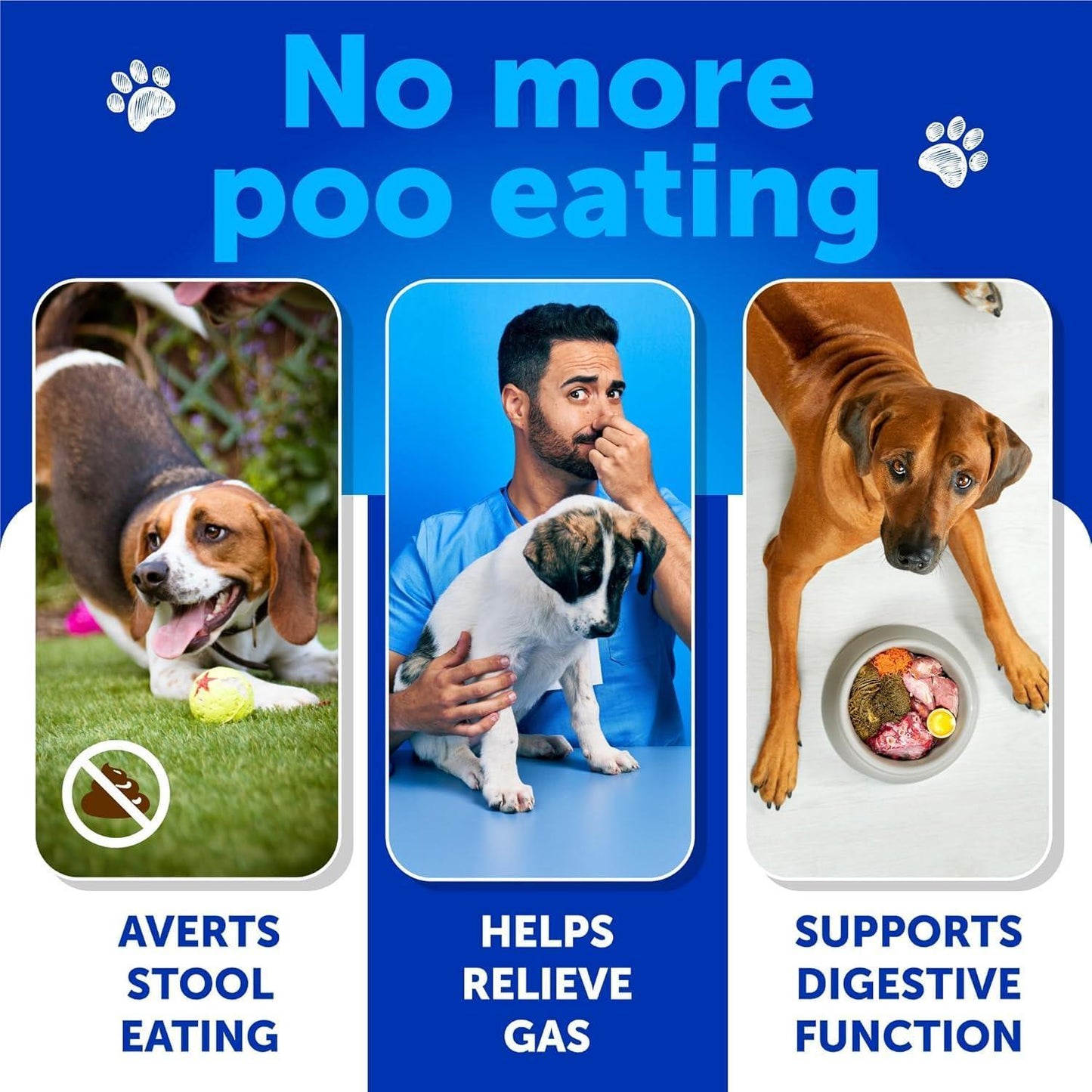 No Poo Chews for Dogs - Coprophagia Stool Deterrent