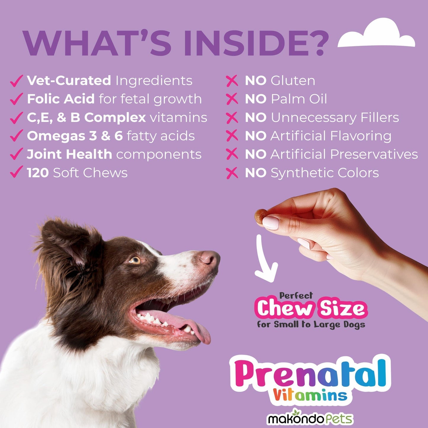 Dog Prenatal Vitamins Folic Acid DHA Soft Chews 120 Count - Detail Angle 4 | Majestic Pet Kingdom