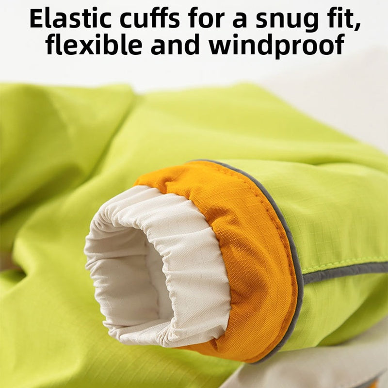 Pet Product - Premium Pet Accessory