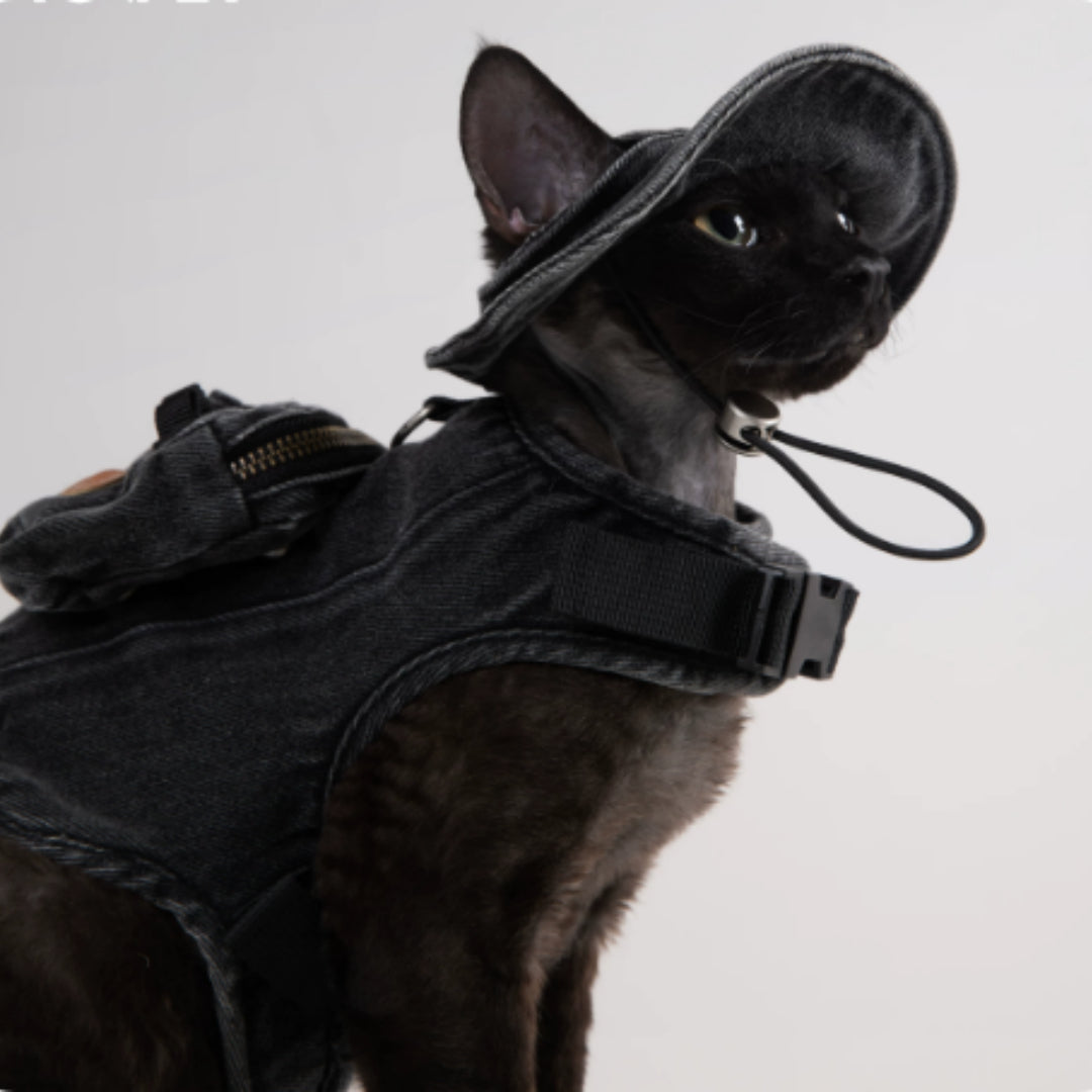 Adjustable Traction Vest And Fisherman's Hat Set For Walking A Cat In Devon. - Majestic Pet Kingdom