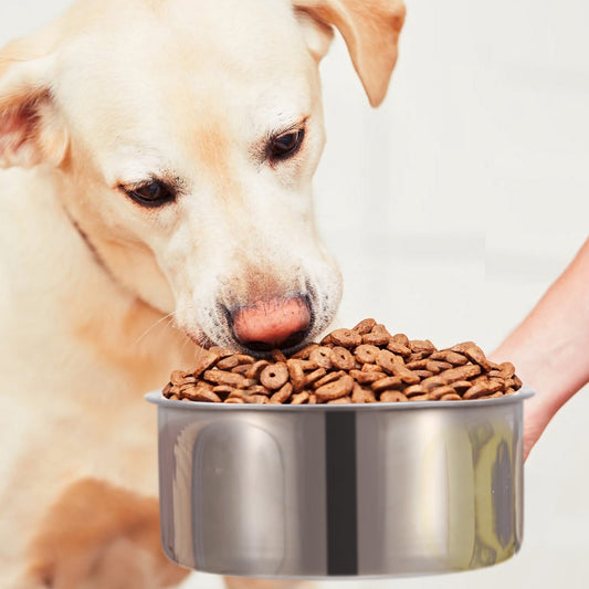 Stainless Steel Dog Bowl, Hanging Pet Food & Water Bowl with Clamp Holder, Detachable Cage Feeding Bowl | Purrfect Pet Kingdom