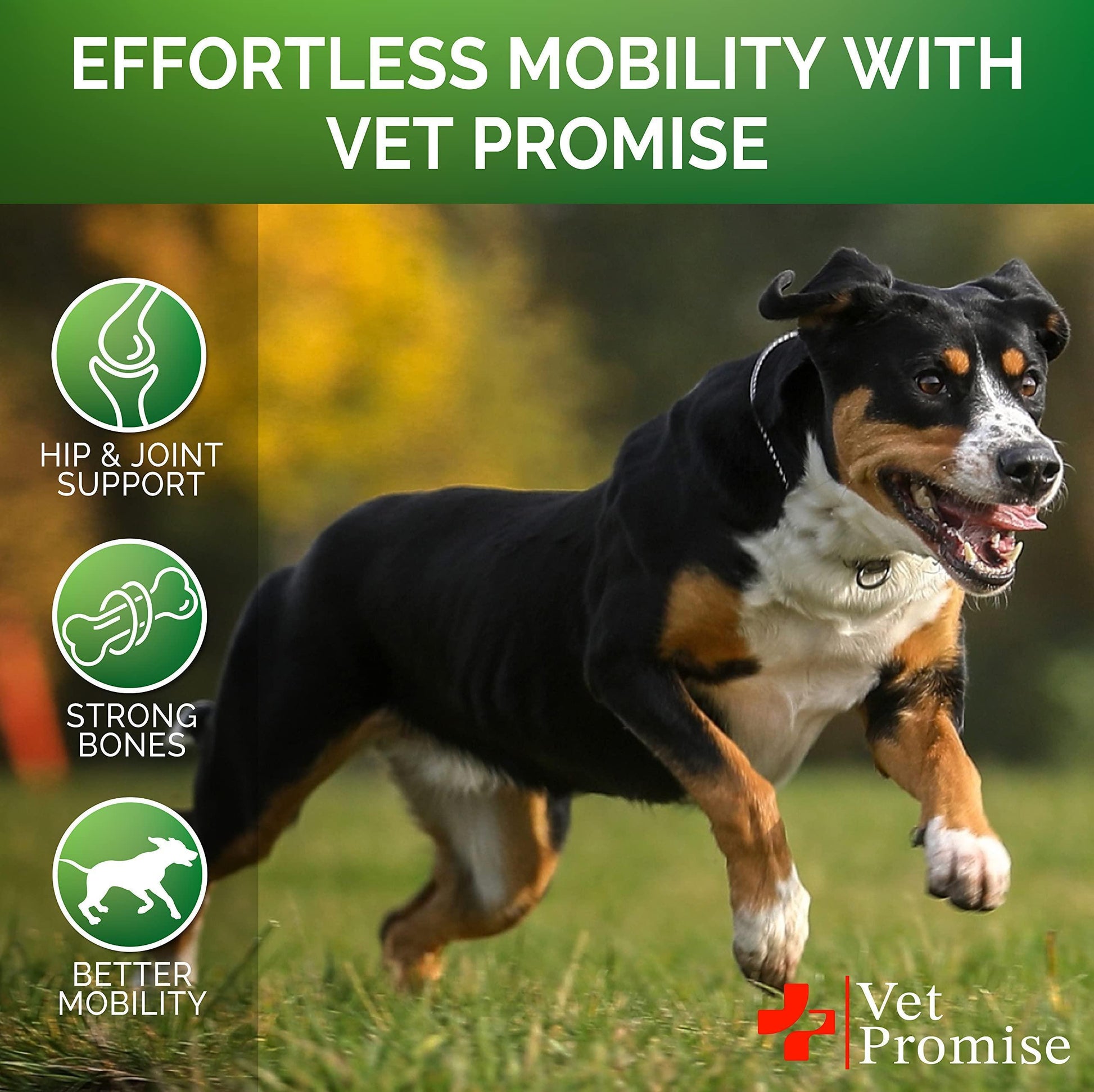 Dog Glucosamine Joint Mobility Soft - Everyday Pet Essential - Majestic Pet Kingdom