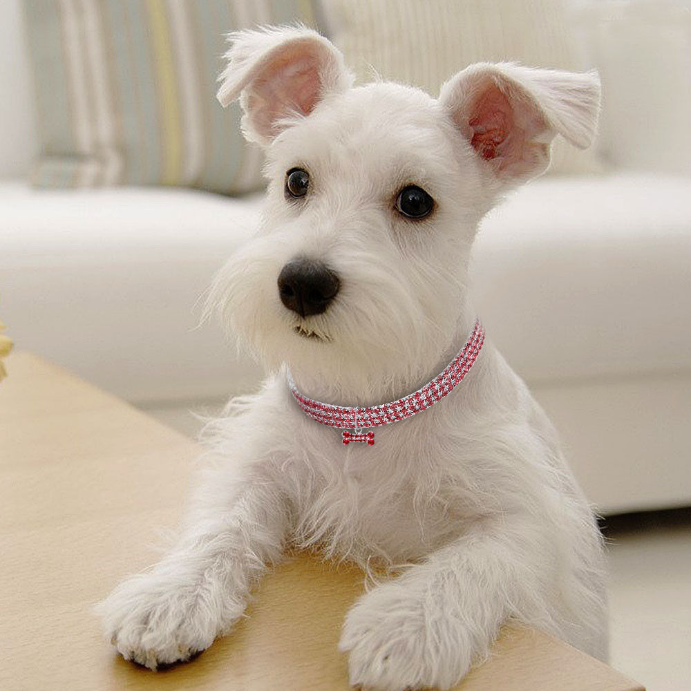 Luxury Pet Essentials - Purrfect Pet Kingdom™