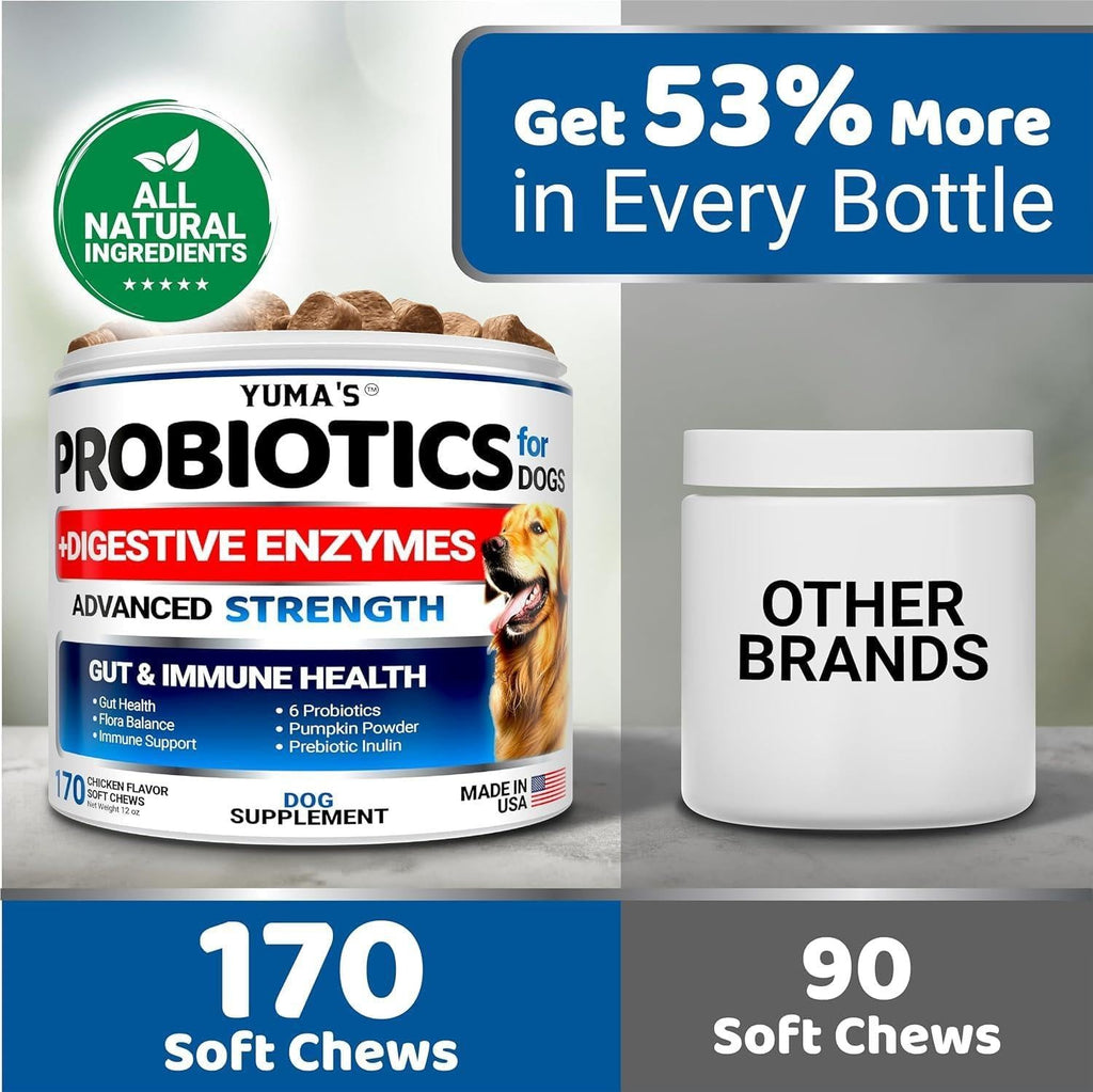 Probiotics for Dogs 340 Count 2-Pack Digestive Enzymes