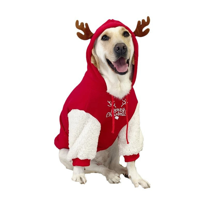 Pet Product - Premium Pet Accessory