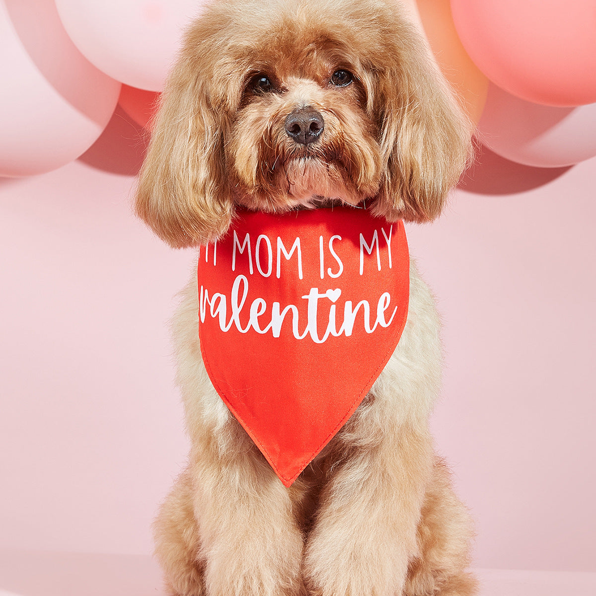 Printed Pet Dog Bandana Scarf & Saliva Towel