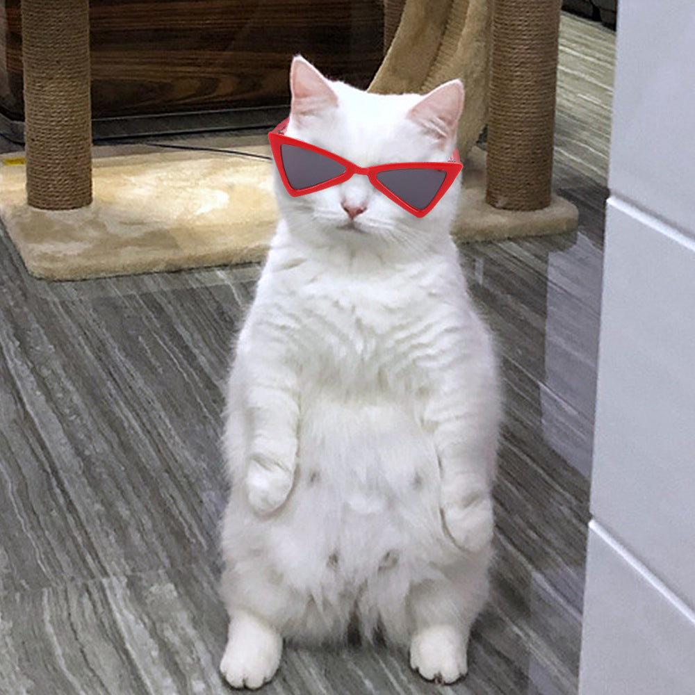 Funny Color Glasses Accessories For Dogs And Cats Pet Wellness | Majestic Pet Kingdom™