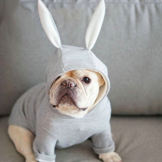 Small dog knitted sweater rabbit ears costume - Majestic Pet Kingdom