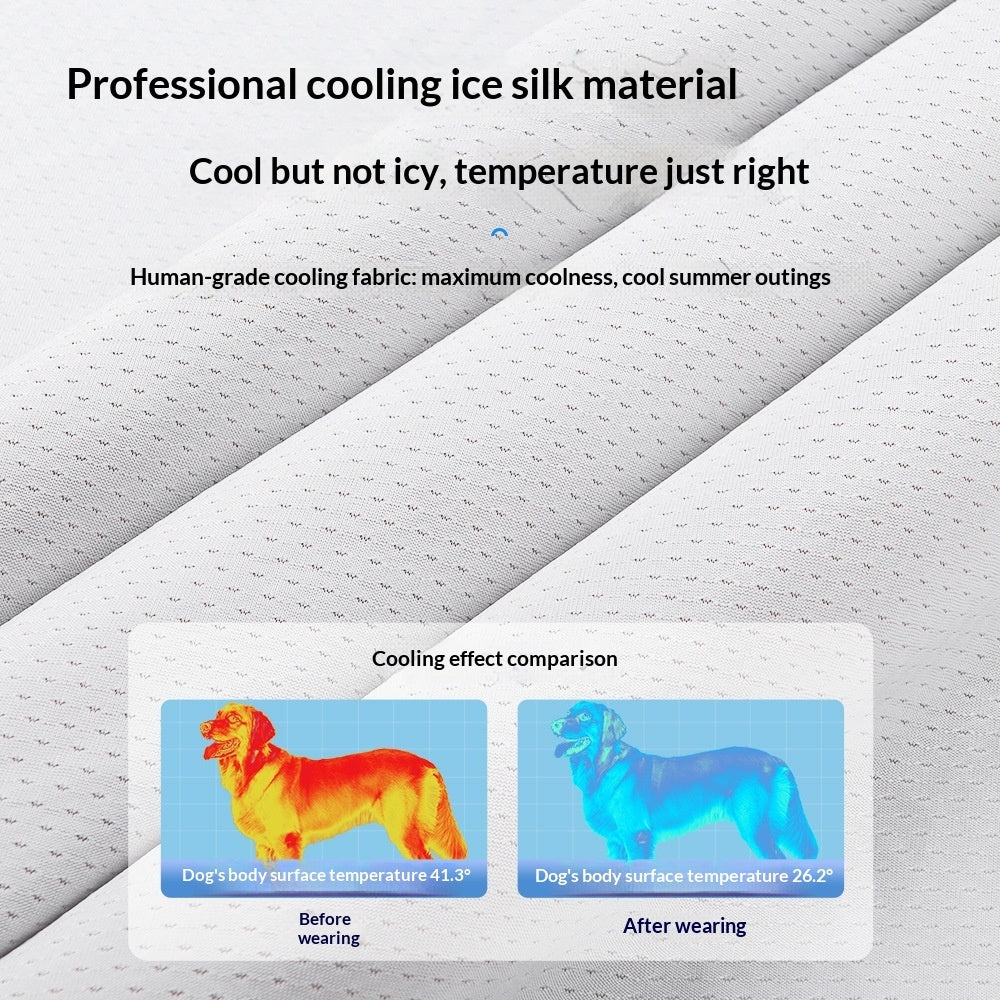 Pet Product - Premium Pet Accessory