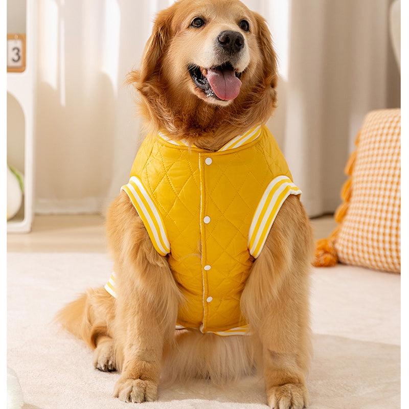 Pet Product - Premium Pet Accessory