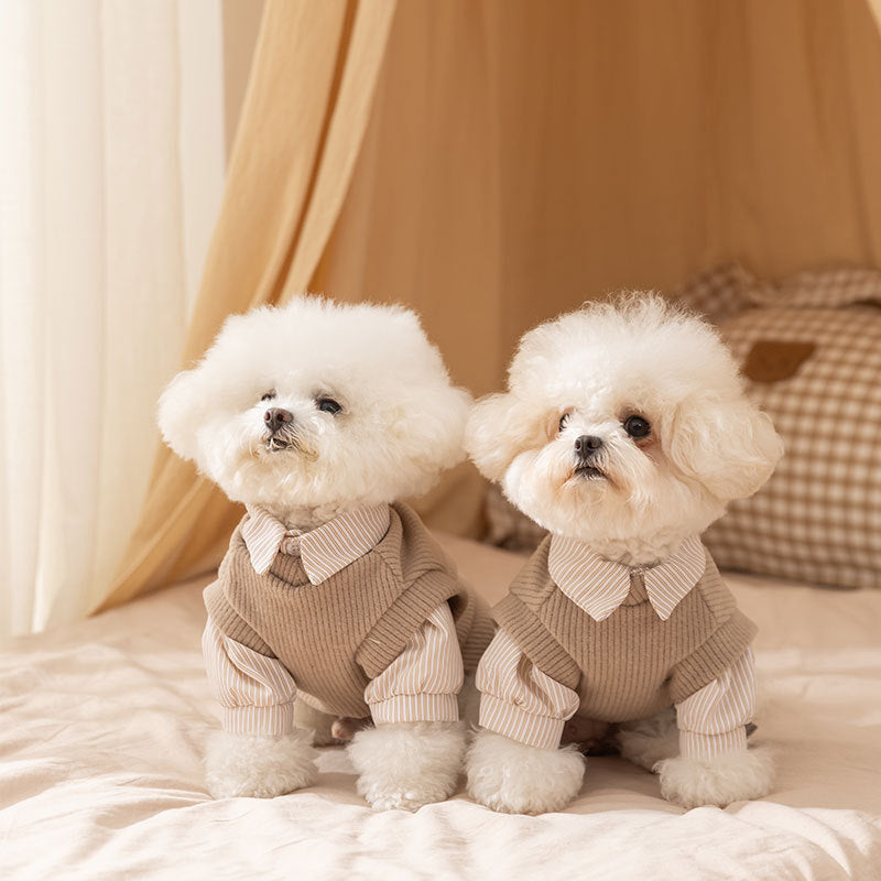 25-year New Autumn And Winter Thin Small And Medium-sized Dog Teddy Bichon Striped Two-legged Coat For Cats, Pets And Dogs - Majestic Pet Kingdom