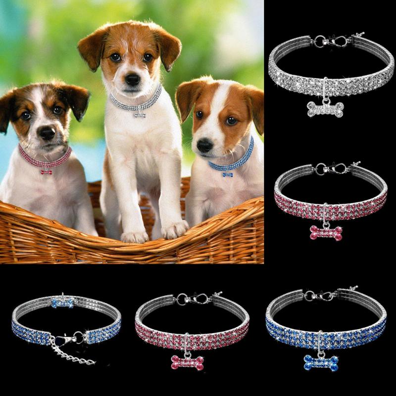 Luxury Pet Essentials - Purrfect Pet Kingdom™
