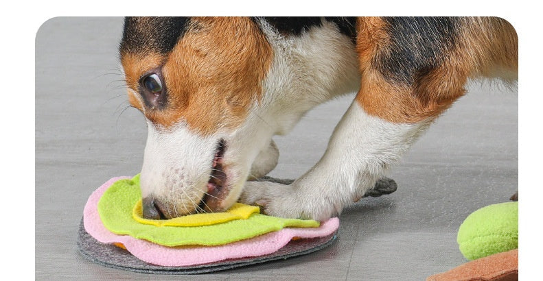 Ping-pong Bat Pet Dog Cat Puzzle