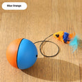 Automatic Intelligent Moving Mouse Teaser Ball