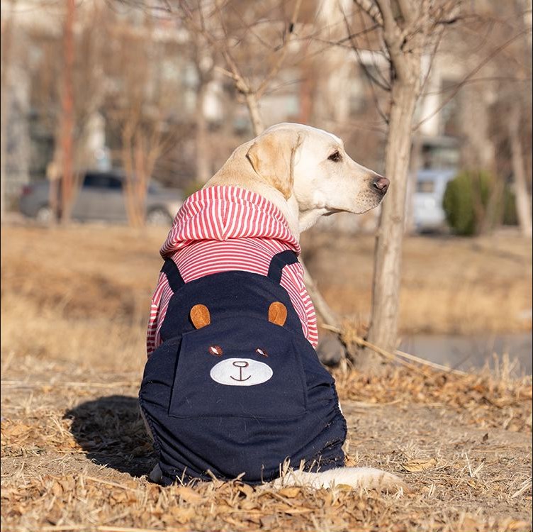 Pet Product - Premium Pet Accessory