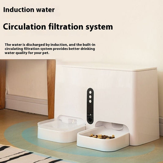 Pet Feeder Smart Automatic Food Dispenser & Water Fountain