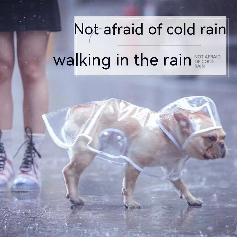 Pet Raincoat Dog Small Dog - Majestic Pet Kingdom