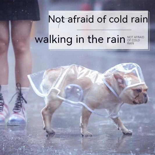 Pet Raincoat Dog Small Dog - Majestic Pet Kingdom