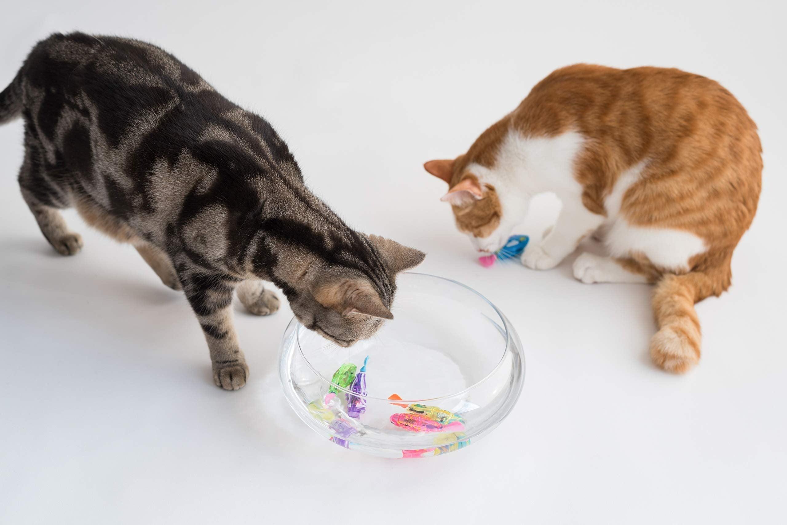 Luxury Pet Essentials - Purrfect Pet Kingdom™