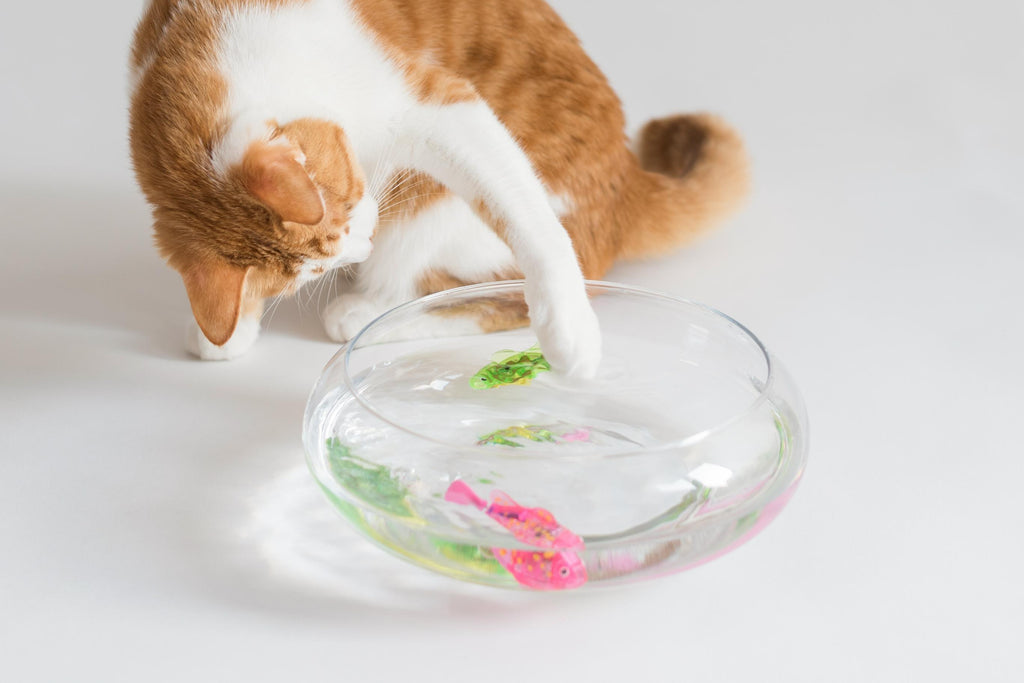 Luxury Pet Essentials - Purrfect Pet Kingdom™