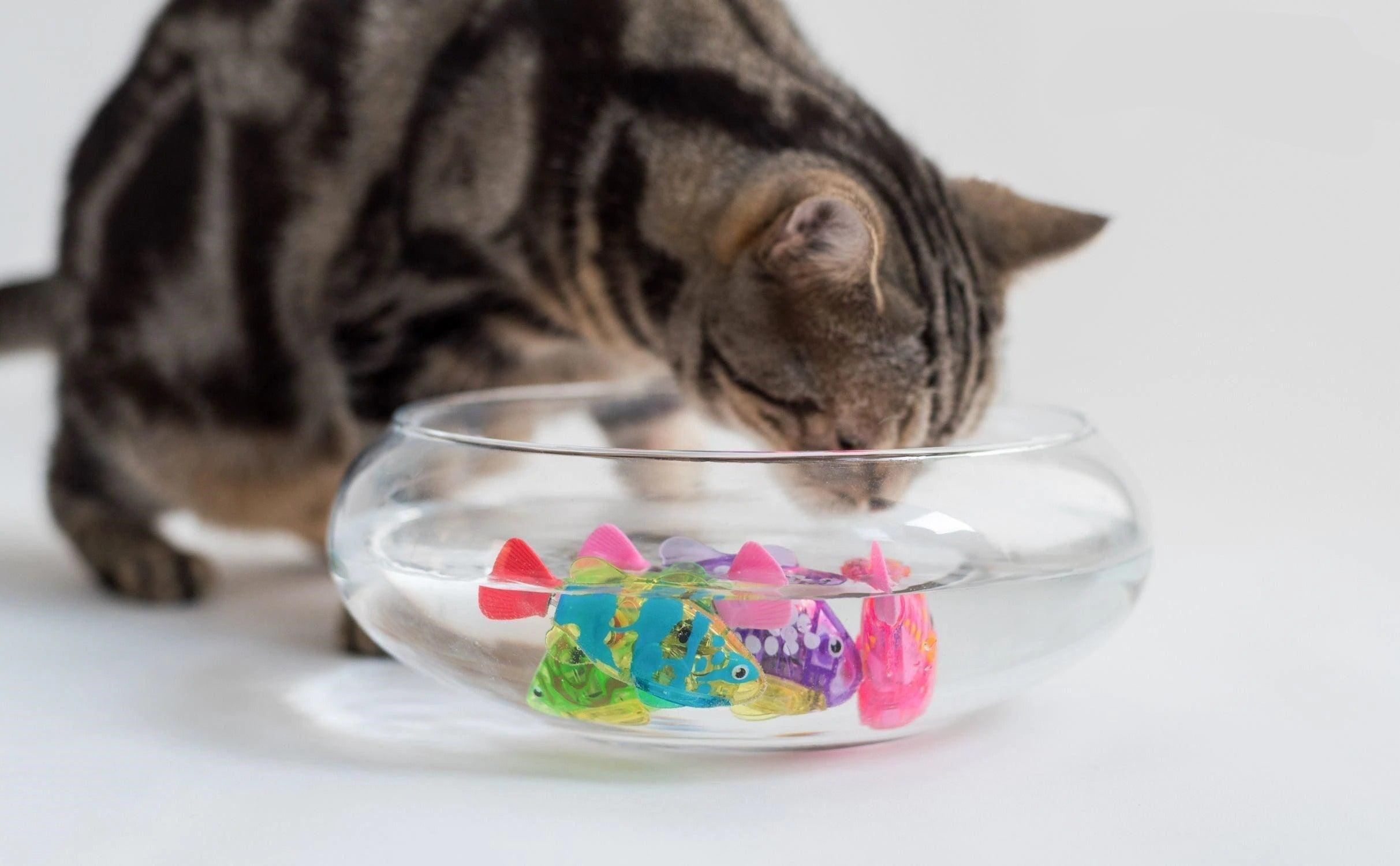 Luxury Pet Essentials - Purrfect Pet Kingdom™